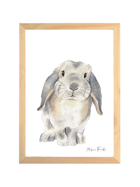 Aquarelle en cadre Zoupi Lapin Bélier - Marlene Fancelli Art