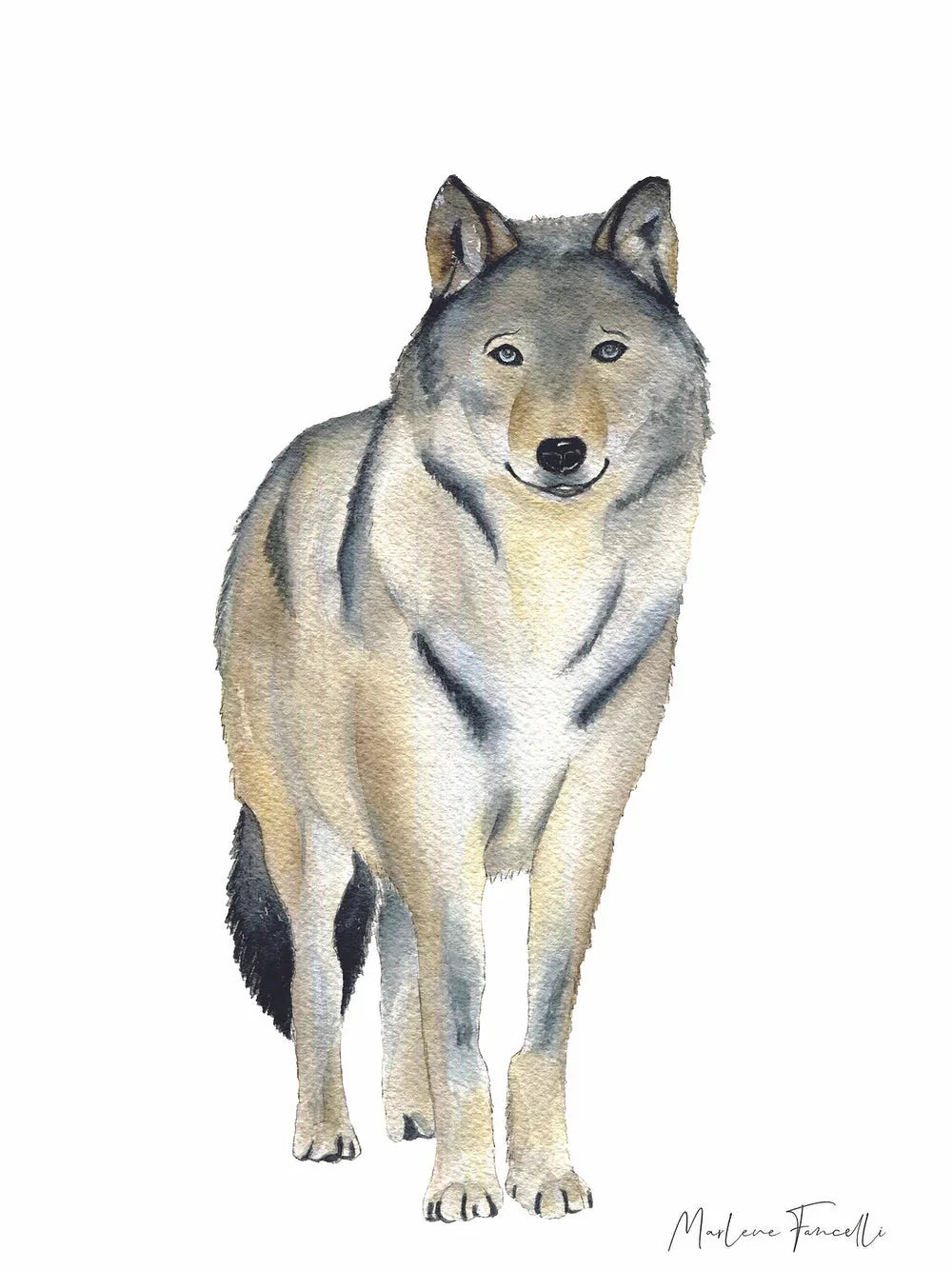 Aquarelle en cadre Milo Loup - Merlene Fancelli Art Milo 1234512367