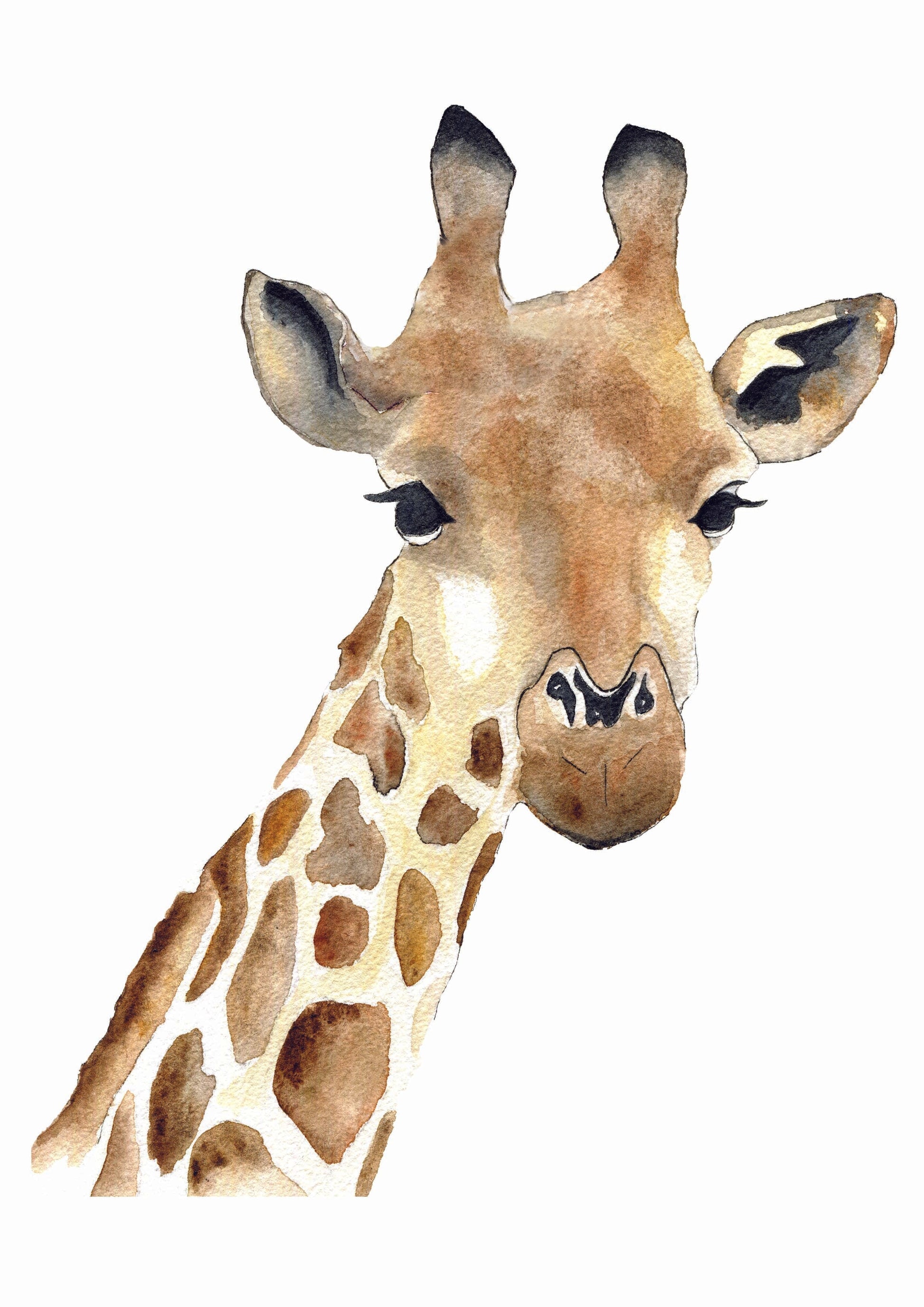 Aquarelle en cadre Seraphin girafe fleur a4 - Merlene Fancelli Art seraphin 1234512347