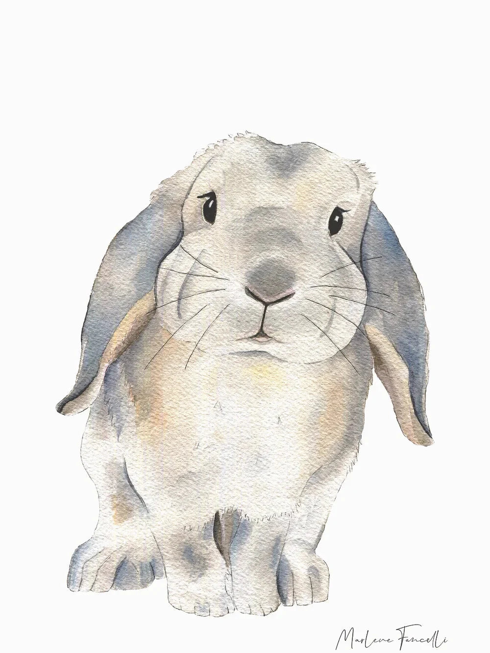 Aquarelle en cadre Zoupi Lapin Bélier - Merlene Fancelli Art Zoupi 1234512366